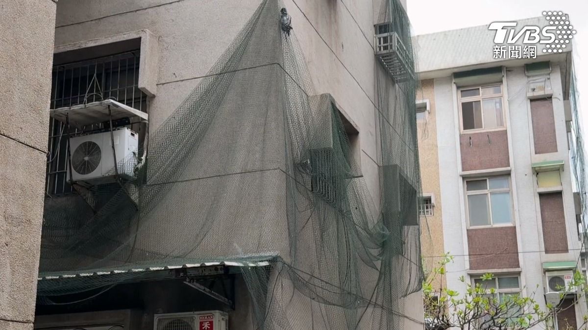 高雄小港的中船一村，長久以來飽受鴿子侵擾，住戶各出奇招驅趕。（圖／TVBS）