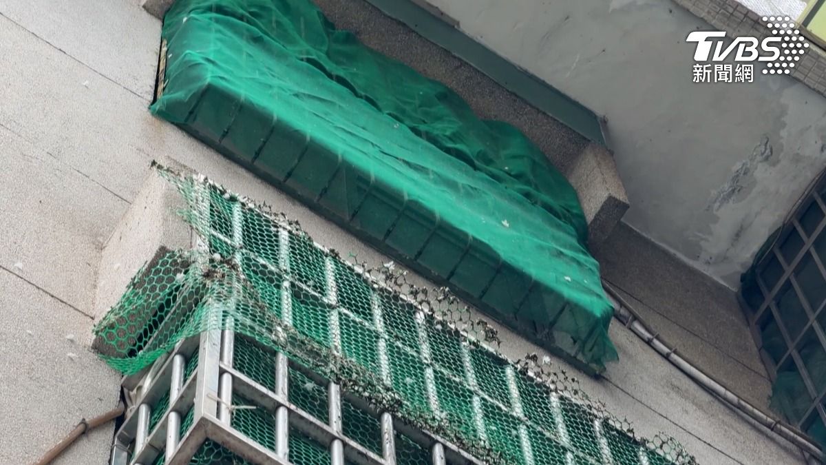 住戶用網子把建物包住，但隨著網子破損，鴿子問題依舊存在。（圖／TVBS）