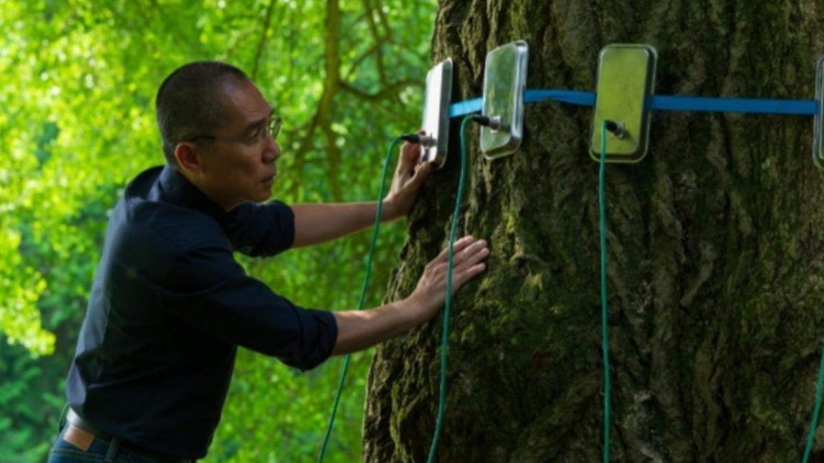 2026金馬奇幻影展超狂片單曝!梁朝偉夢幻連線蕾雅瑟杜 3大好萊塢巨星新片搶先看