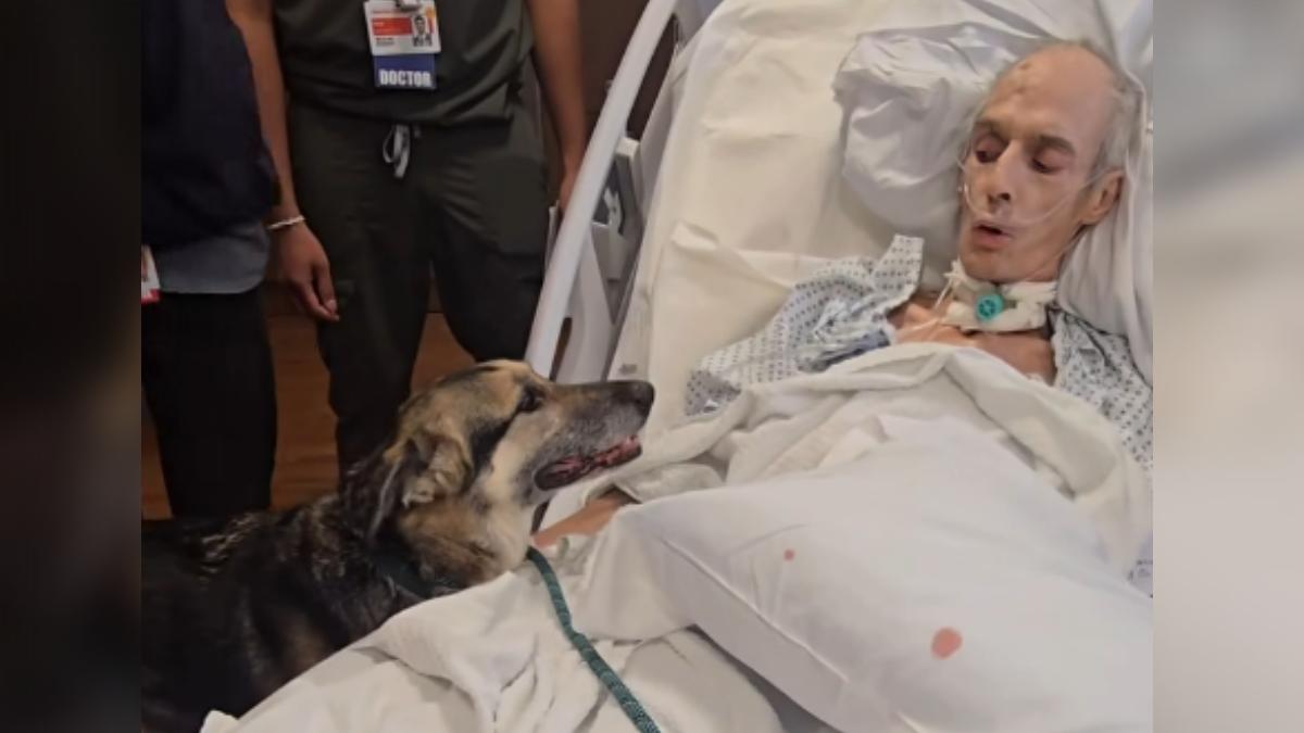 絕症男臨終見愛犬「道別後安詳離世」 醫護淚崩:狗狗真的懂