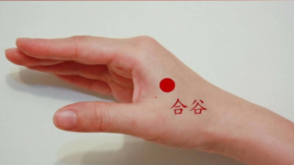 中醫師示範按壓「太衝穴」與「合谷穴」,有助於疏肝理氣。(圖/中醫師陳潮宗)