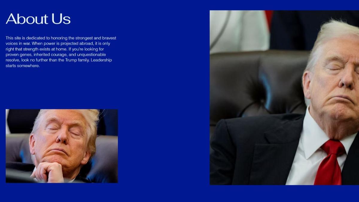 網站上充滿川普打瞌睡的照片。(圖/ DraftBarronTrump.com)