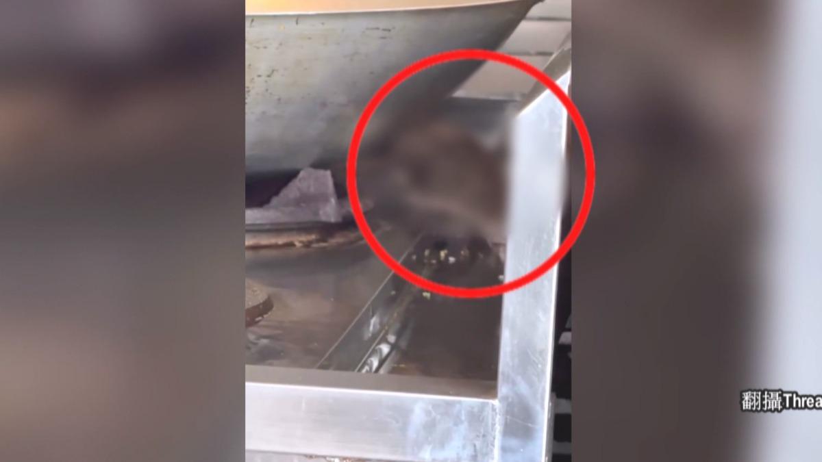 排骨飯店驚見「鼠爬爐台喝水」!老闆娘喊冤:投藥已捕獲。(圖/Threads @_wei_i)