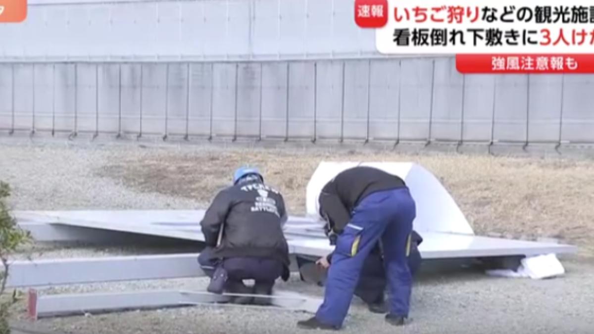 強風釀禍!3台人日本採草莓遭招牌砸傷 頭部出血送醫
