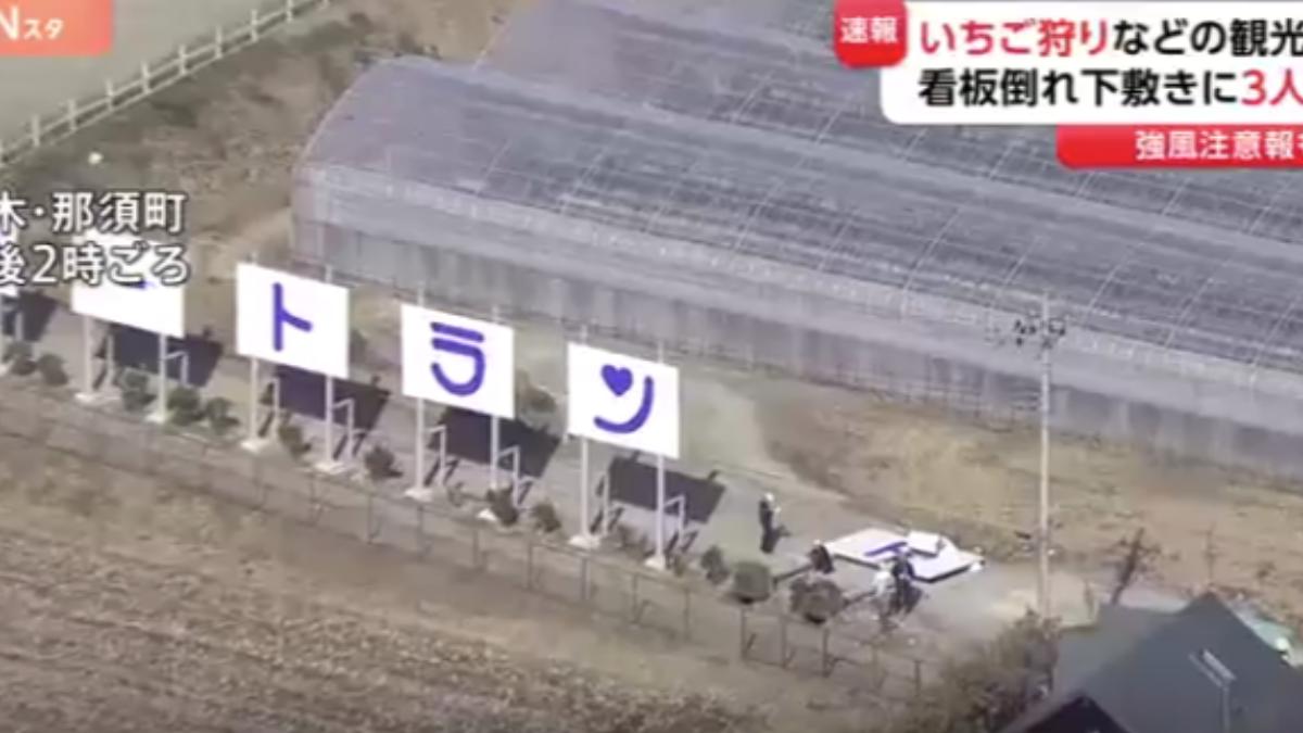 現場一塊3公尺高的招牌突被強風吹倒,砸傷3名台灣遊客。(圖/翻攝TBS NEWS DIG)