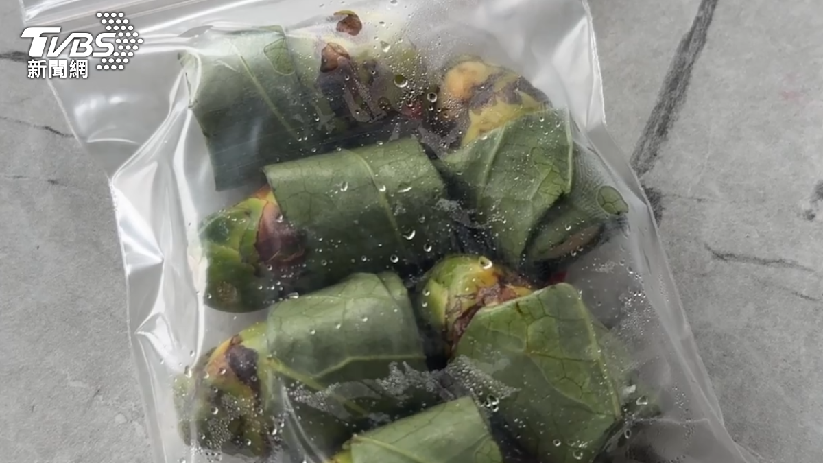 嘉義男誤食劇毒倒吊子檳榔!瀕死狂吐分泌物 搶命20分鐘救回