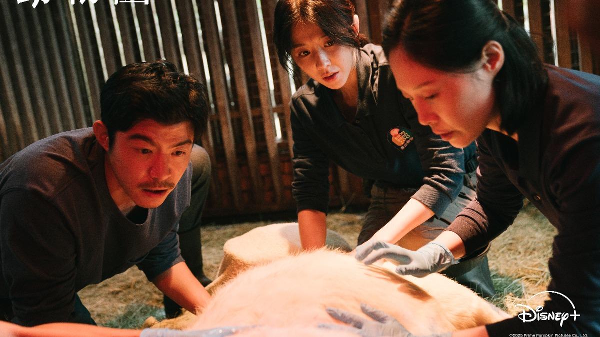 《動物園》接生戲感人。(圖/Disney+提供)