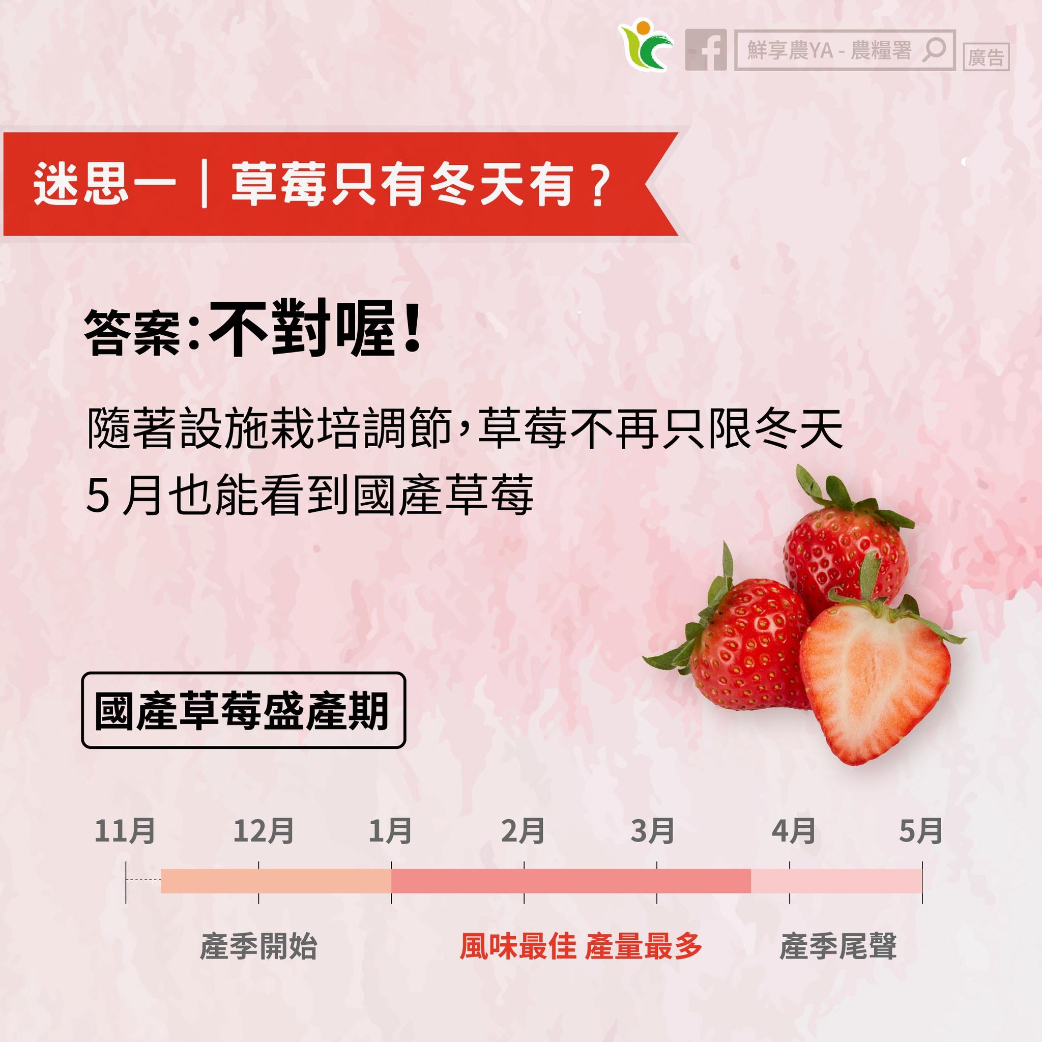 農糧署解釋,其實現在5月也能看到國產草莓。(圖/翻攝自鮮享農YA - 農糧署臉書粉專)
