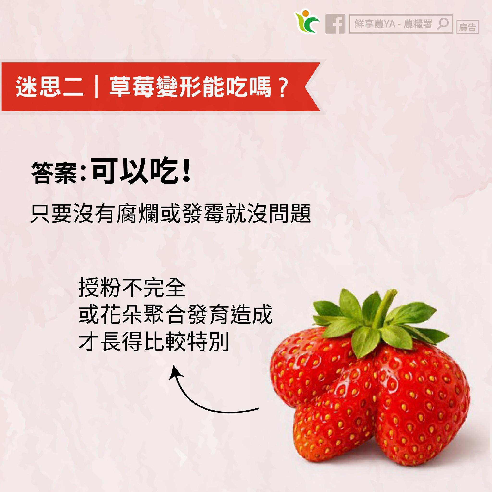 農糧署指出,只要草莓沒有腐爛或發霉都能放心享用。(圖/翻攝自鮮享農YA - 農糧署臉書粉專)