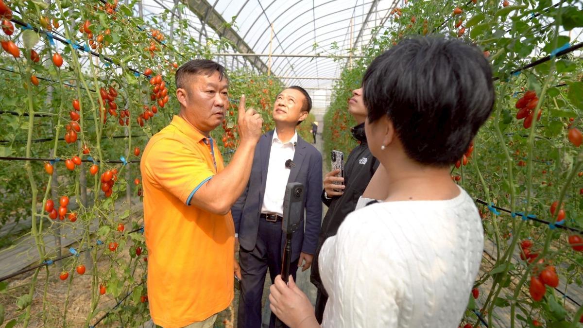翁章梁推共同品牌—「嘉義優鮮」,集結小農升級、打群架,不被市場定價。目前已有800項產品,16項外銷日本。(圖/柯勝雄攝)