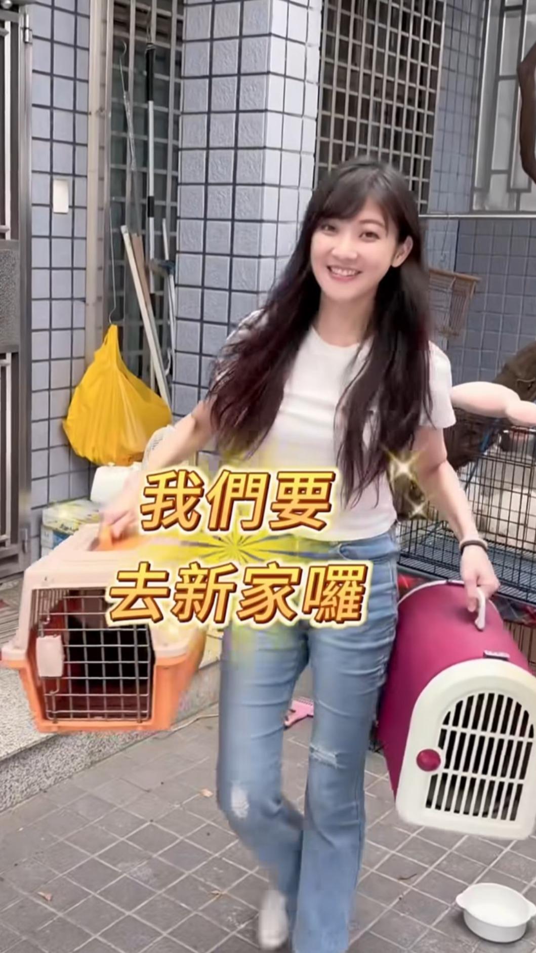 林逸欣是愛貓人士,誘捕貓媽媽和幼貓後一同送養。(圖/翻攝自林逸欣IG)