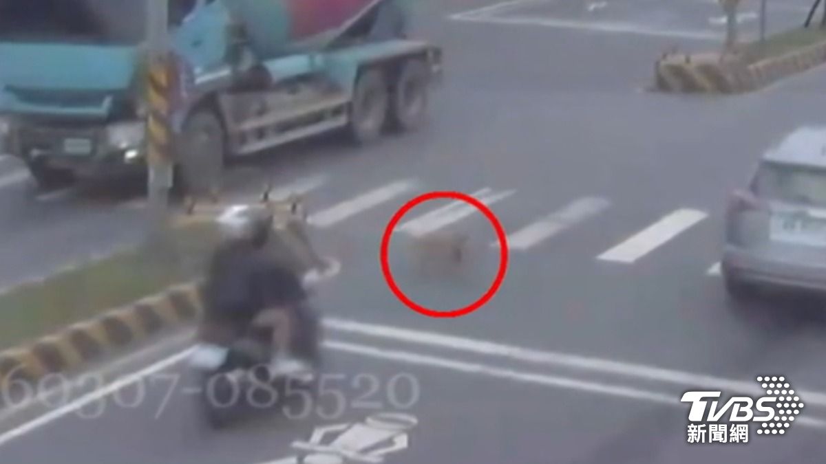 米克斯闖燈過馬路遭撞亡，害情侶檔慘摔。（圖／TVBS）