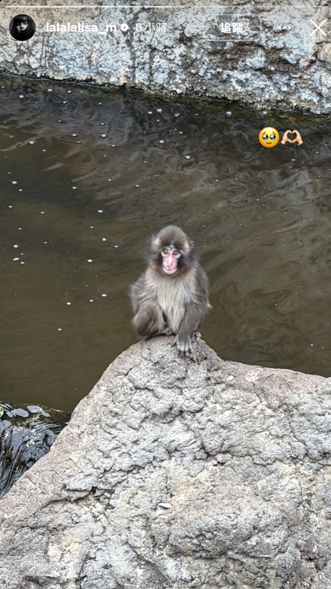Lisa親手拍下Panchi並附上比心符號,顯見其對Panchi相當狂熱。(圖/翻攝自IG@lalalalisa_m)
