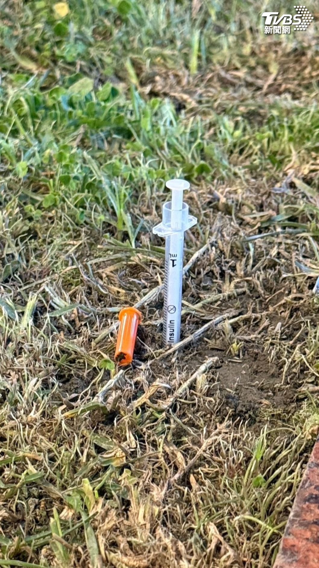 在管束過程中,員警發現一旁花圃中插著一支疑似使用過的注射器,經警方檢測後,該注射器呈現安非他命陽性反應。(圖/TVBS)