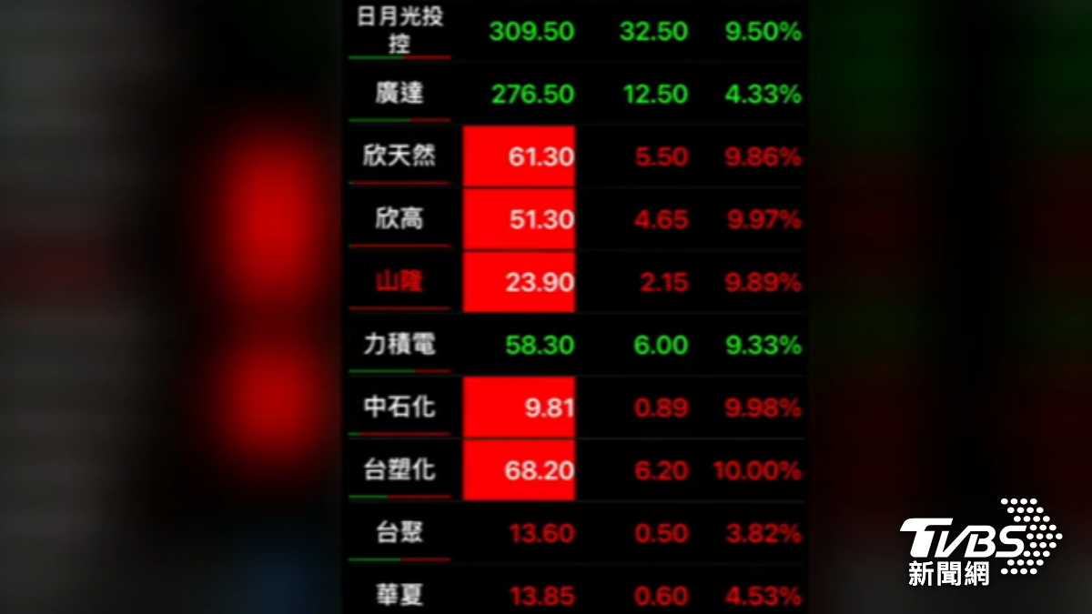 油電燃氣以及塑膠族群逆勢上漲。(圖/TVBS)