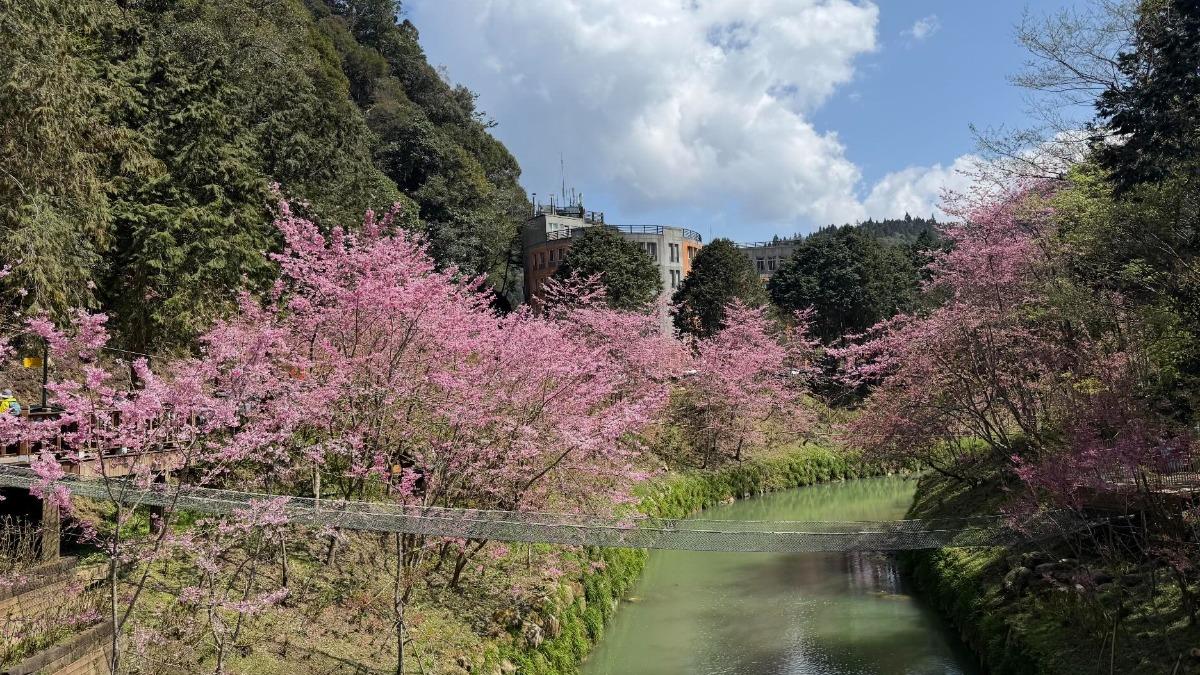杉林溪-杉林溪車禍-南投-杉林溪遊園車-杉林溪巴士-遊覽車