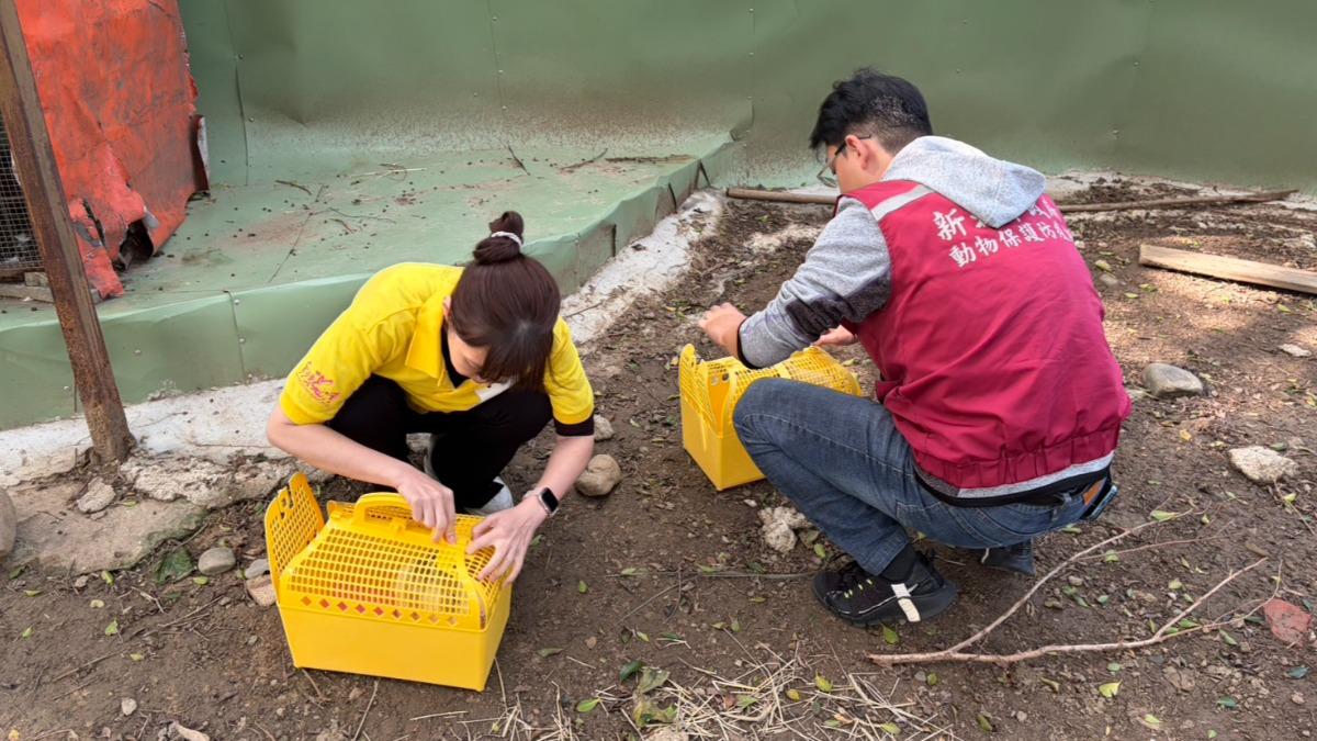 動保處與愛兔協會前往救援兔隻。(圖/動保處提供)