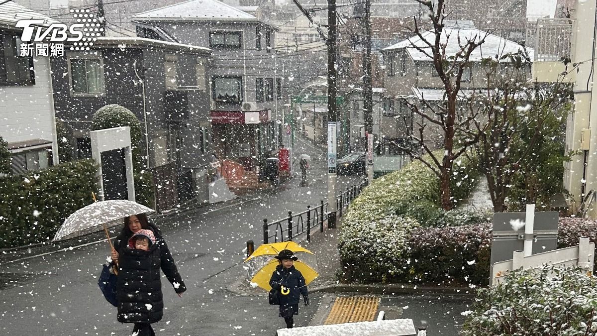 東京罕下3月雪!關東地區恐道路結冰 交通中斷事故頻傳