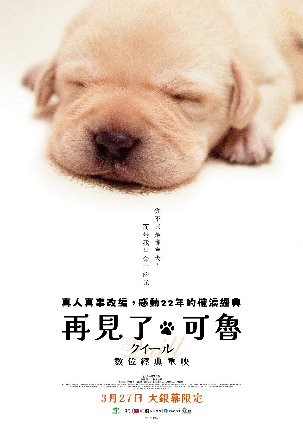 《再見了可魯》數位經典重映台灣版海報。(圖/采昌國際多媒體提供)