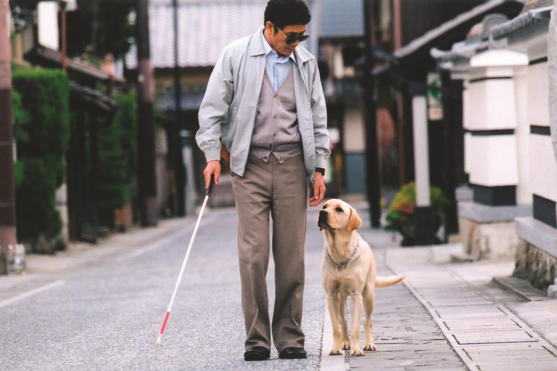 本片溫潤呈現導盲犬與視障者飼主的深厚情感連結,左為男主角小林薫。(圖/采昌國際多媒體提供)