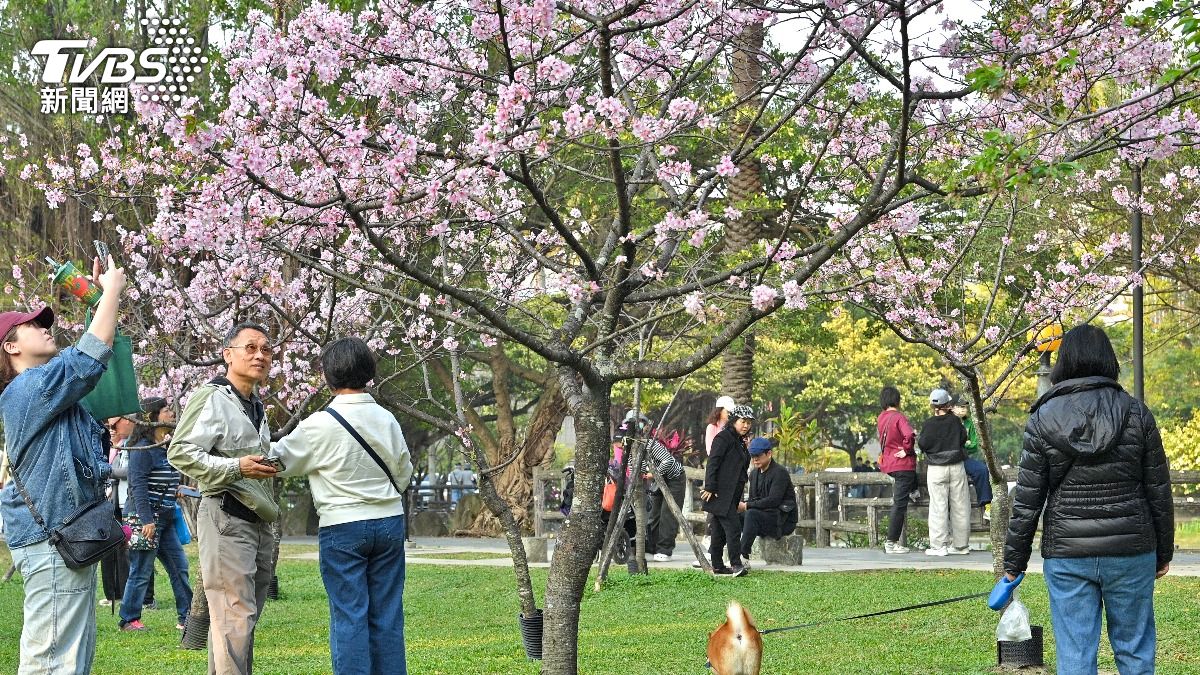 4月國旅補助預算卡關!觀光署嘆:5大優惠都準備好了