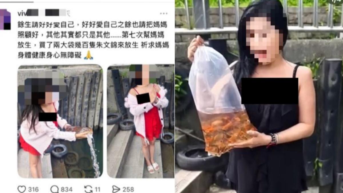徐姓女子發文稱為幫母親祈福,買百隻朱文錦放生。(圖/新北市動保處)