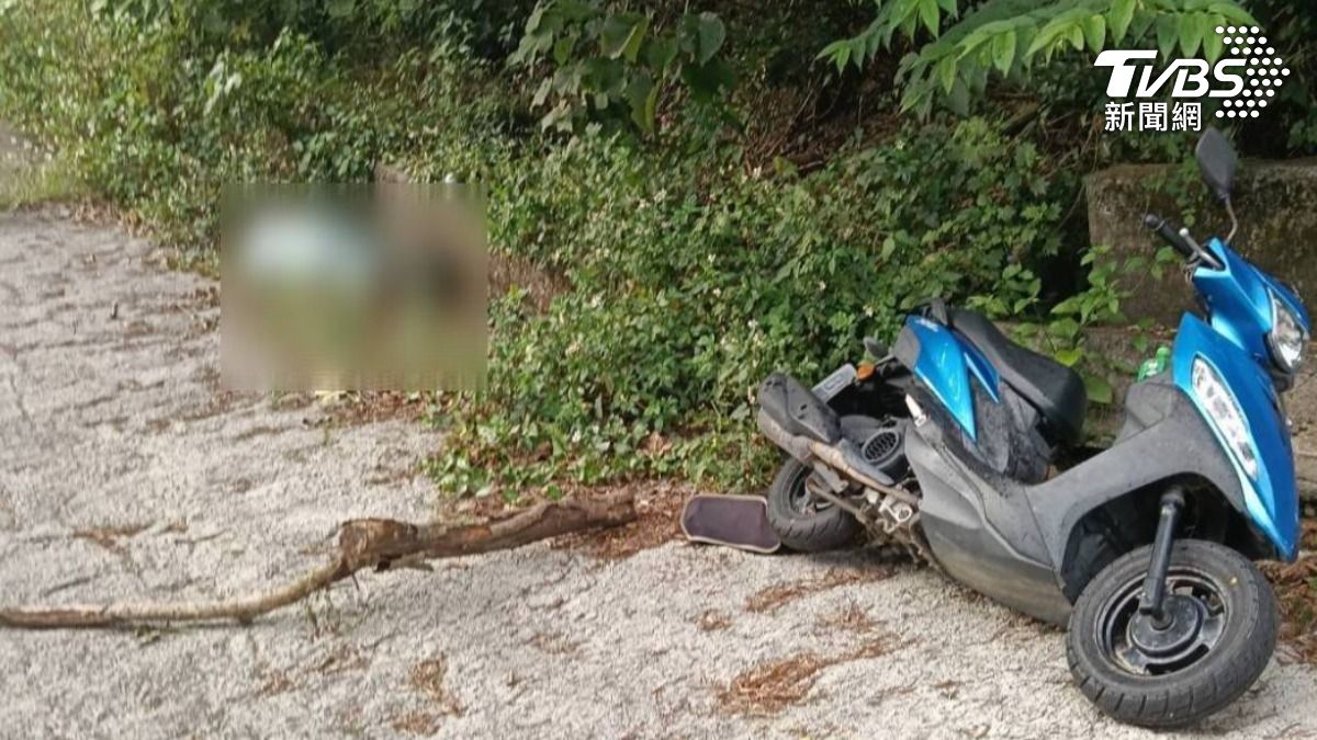 屏東156線離奇死亡案!男曝屍路邊飄臭 外籍遊客目睹嚇傻