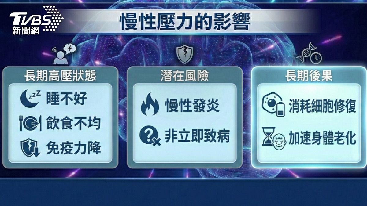 慢性壓力的影響。(圖/TVBS)