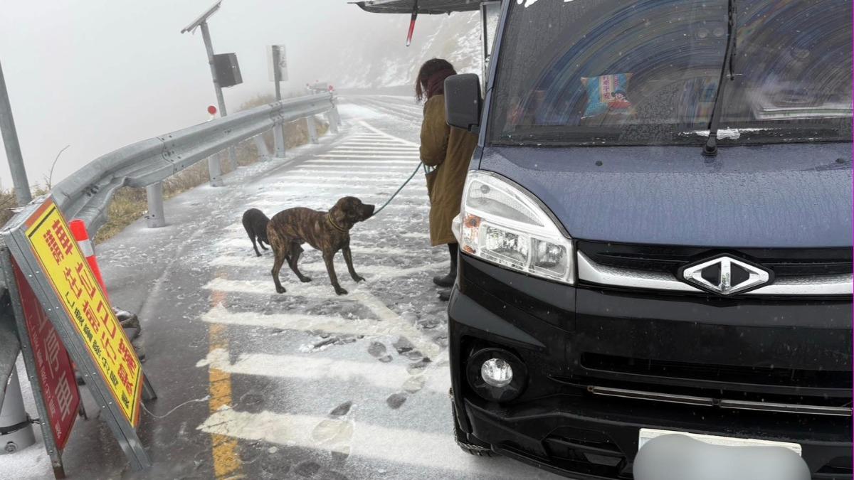 虎斑犬嘎逼和飼主相認。（圖／翻攝自臉書中橫路況交通資訊站）