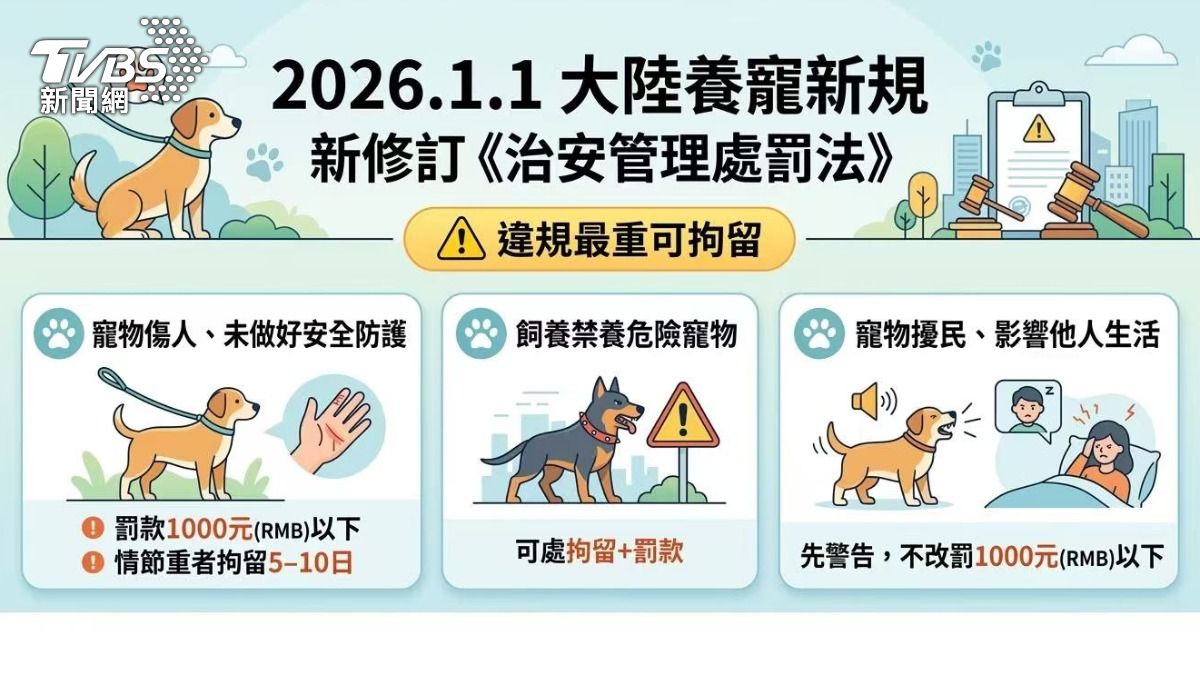 大陸官方也開始修訂相關寵物規範。自今年1月1日起,若寵物傷人且飼主未做好安全防護,將被處約新台幣4600元罰款,情節嚴重者還會被拘留。(圖/TVBS)