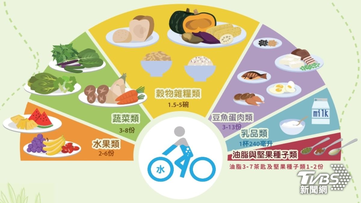 台灣新版每日飲食指南草案，其中蛋白質建議攝取量調高到13份，同時提高全穀雜糧和蔬果比例。（圖／TVBS）