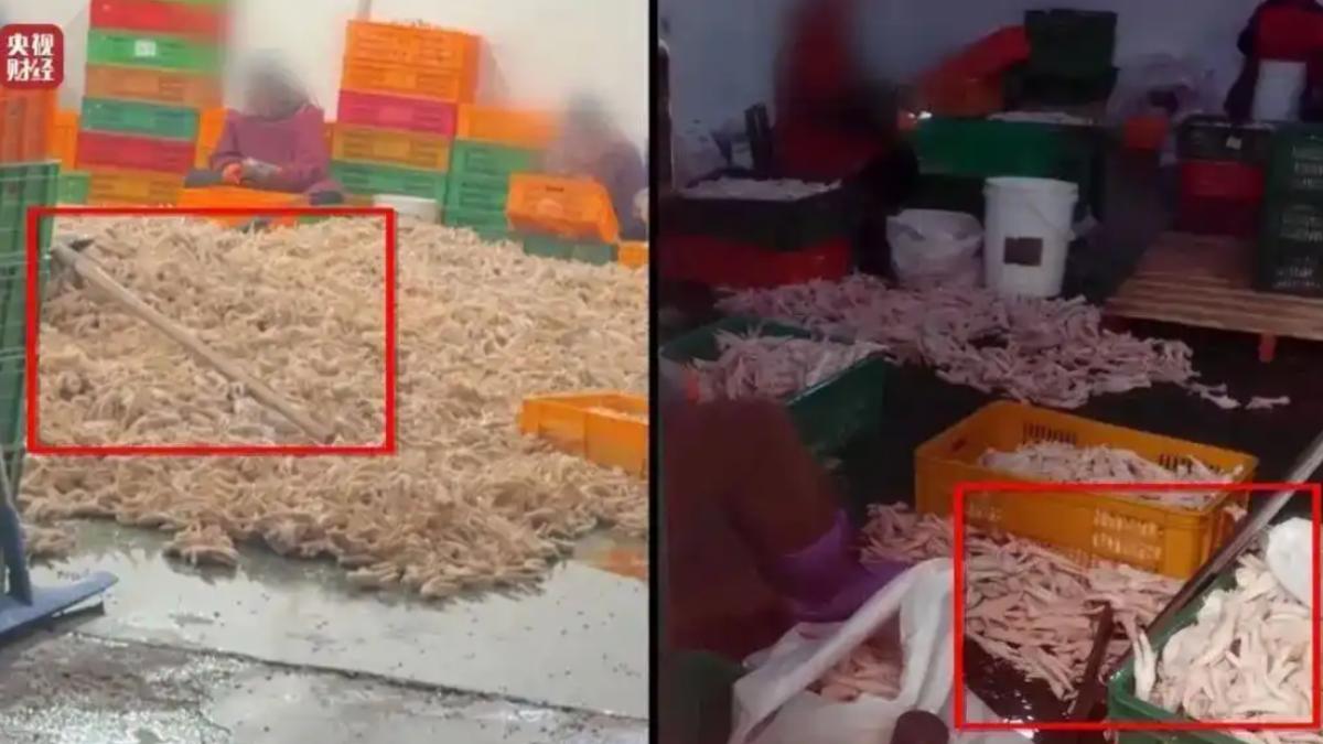 陸網紅雞爪爆「雙氧水」漂白!工廠超噁畫面曝 工人:我們都不吃