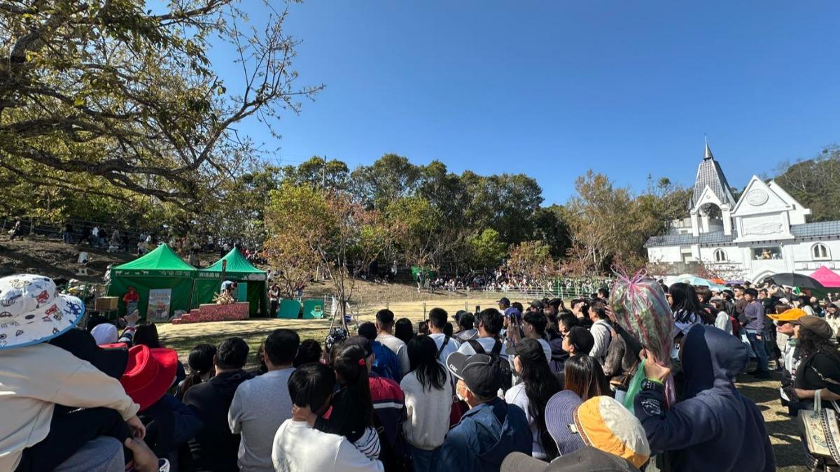 年吸67萬人!全台最紅農場是「它」 遊客:肺像被洗了一遍