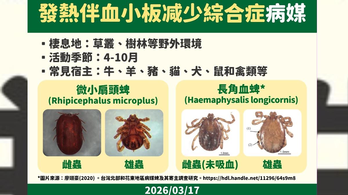 「發熱伴血小板減少綜合症」本土再現蹤!北部男未出國確診 致死率高