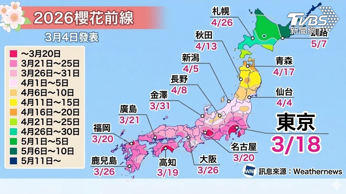 日本高知縣的染井吉野櫻宣布開花，東京最快也將在18日開花。(圖／TVBS)