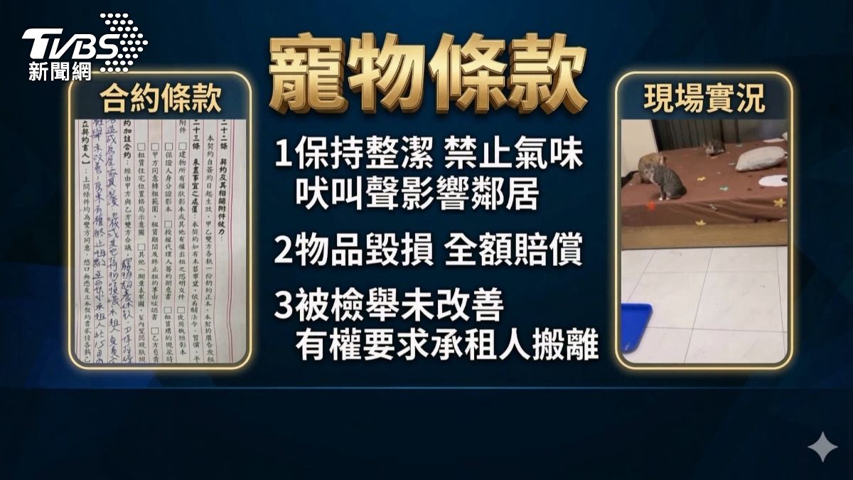 房東表示,出租時有特別加註寵物條款,明確要求房客保持整潔,禁止影響鄰居。(圖/TVBS)