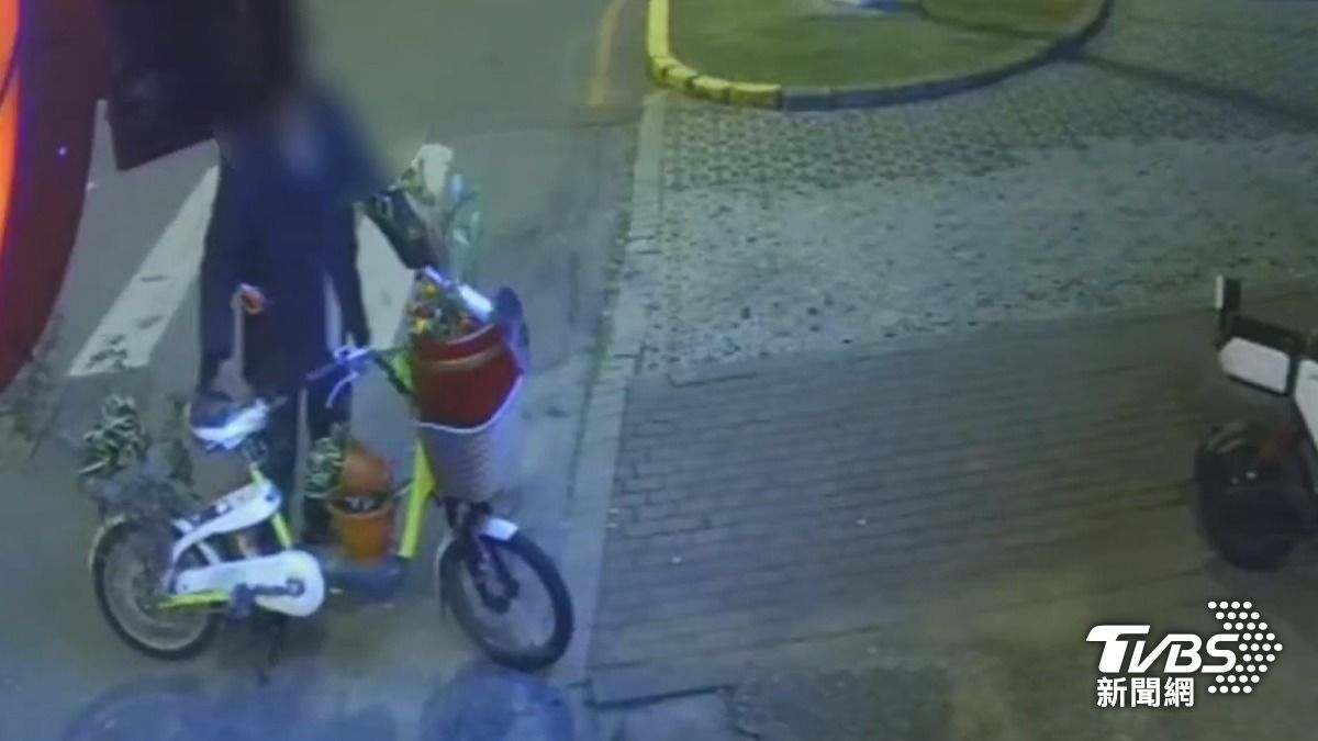 真人版皮克敏!花蓮怪男偷車、盆栽 「沿路種花」稱想美化家鄉