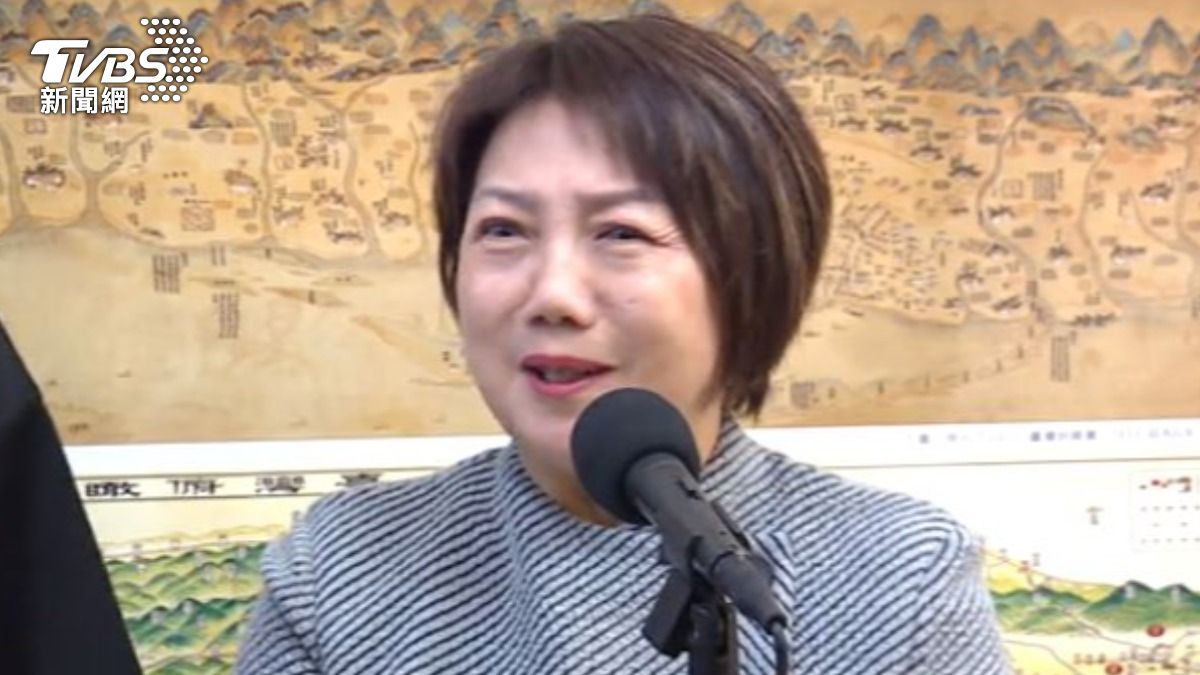 民進黨立院黨團幹事長范雲。(圖/TVBS)