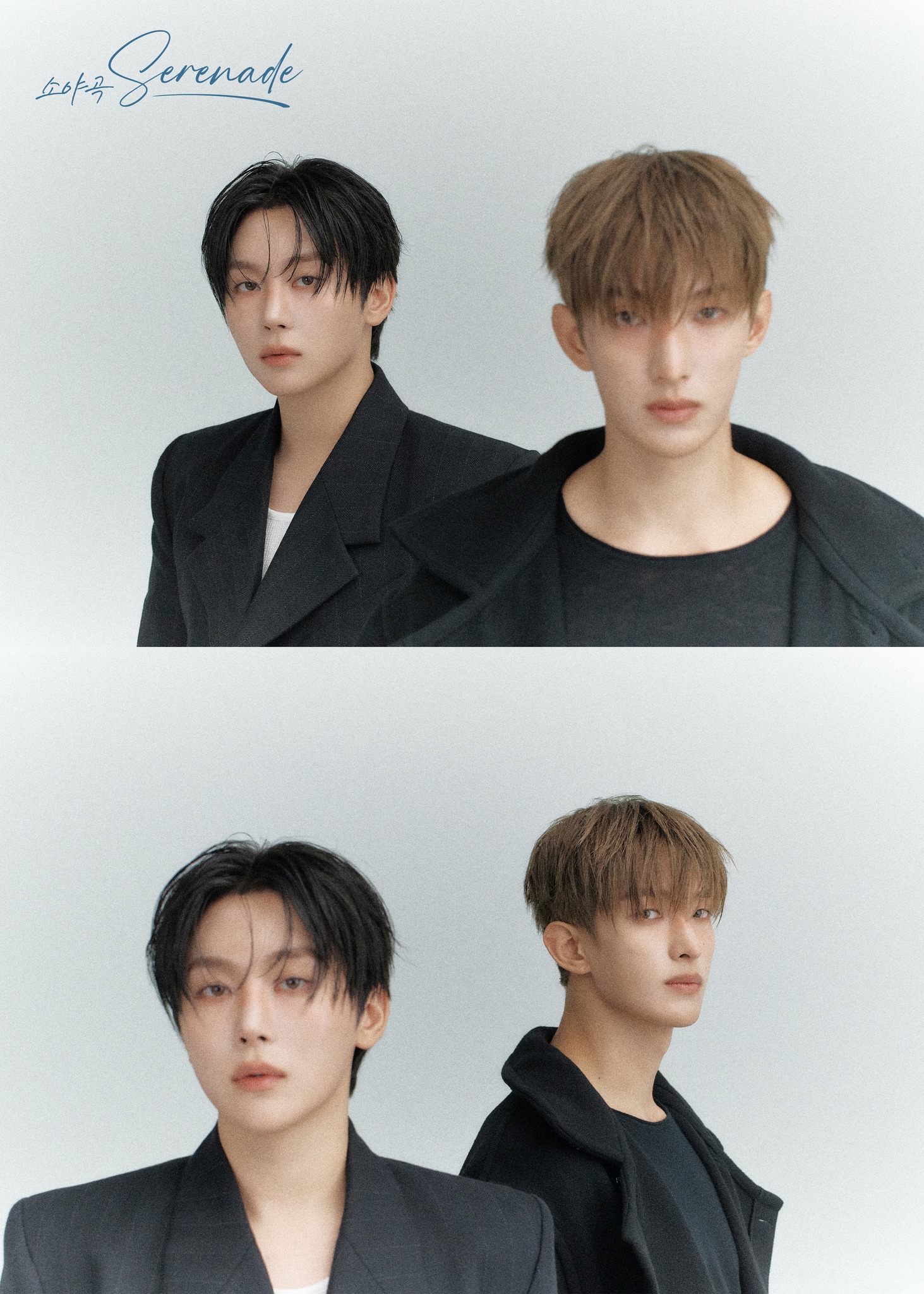 seventeen dxs演唱會-seventeen dxs演唱會搶票-dxs演唱會高雄-dxs演唱會