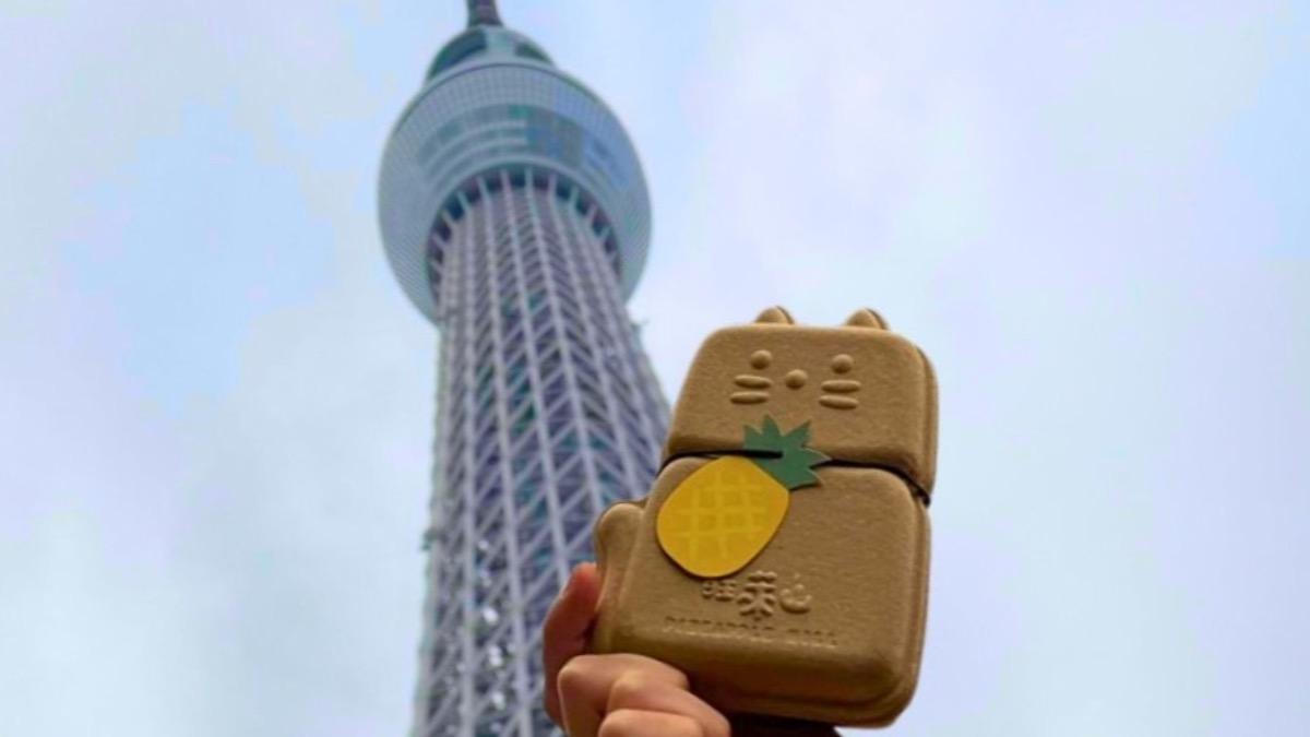 台灣味登上東京地標!晴空塔「台灣祭」 貓咪鳳梨酥吸日客打卡