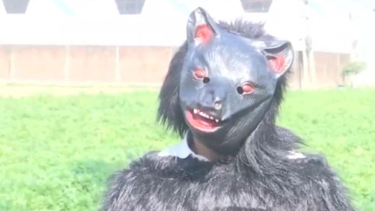 守護馬鈴薯大作戰!印度農夫出大絕「穿熊裝巡田」嚇退猴群