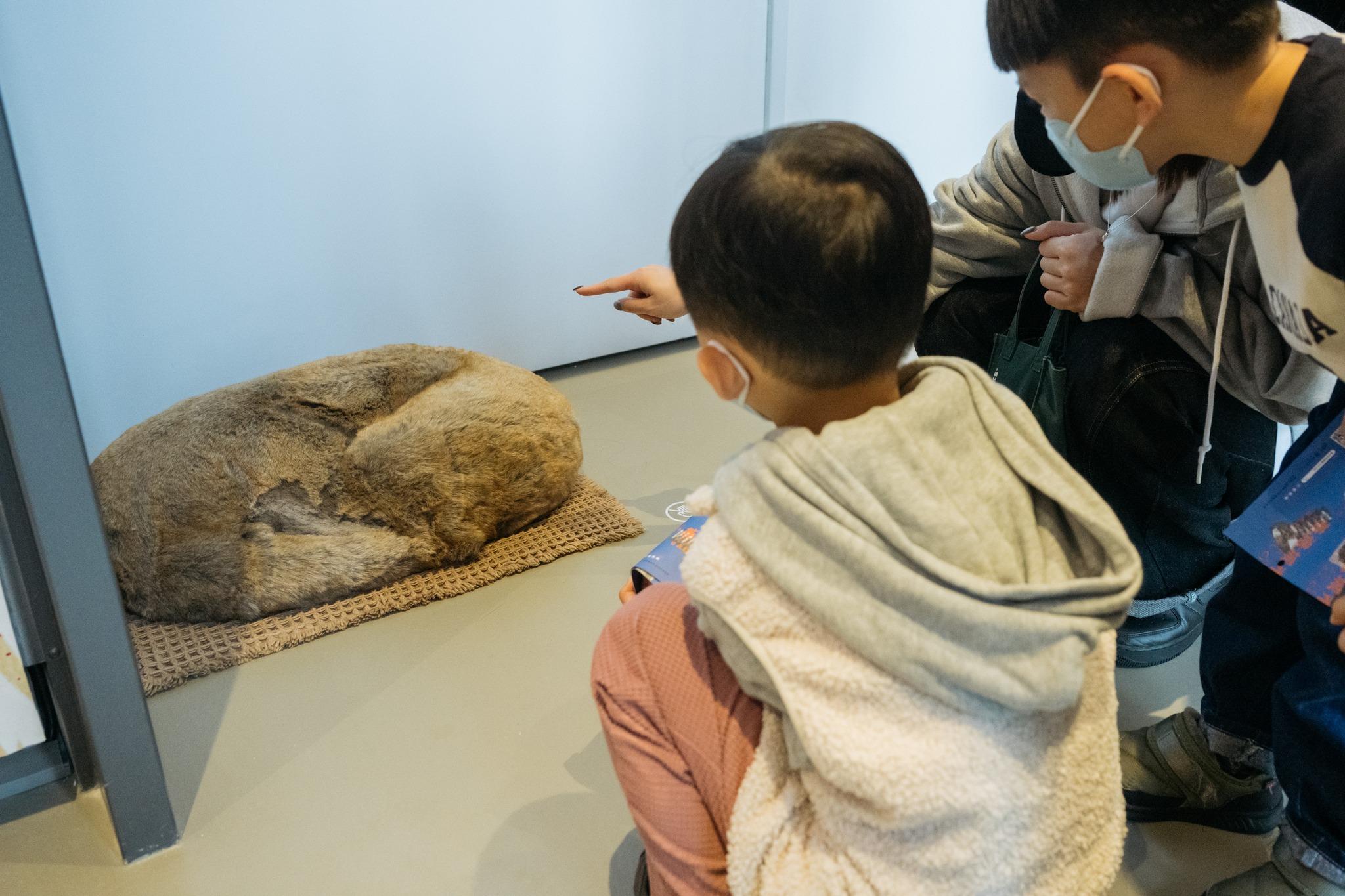 鶯歌-新北美術館-展覽-遊客-陶瓷博物館-鶯歌老街-新北美術館門票-新北美術館展覽-新北美術館開幕-新北美術館展覽內容