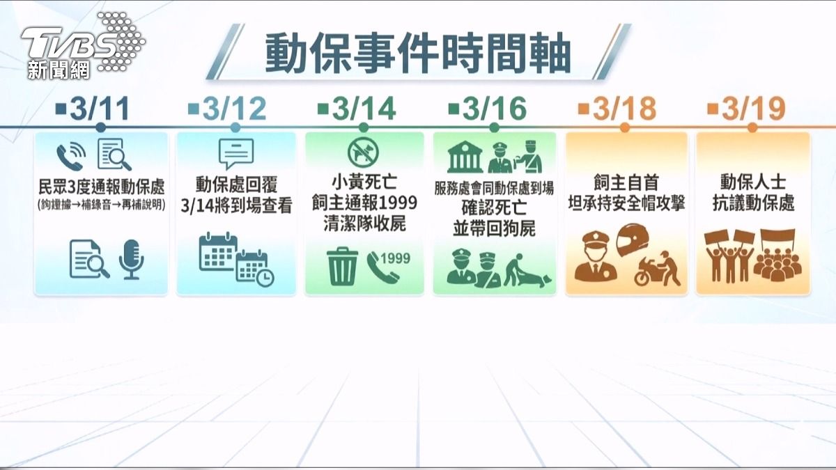 幼犬「滿頭血」慘死　飼主坦承動手虐殺。(圖／TVBS)