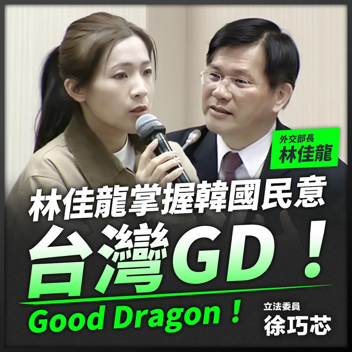 徐巧芯林佳龍-徐巧芯質詢-林佳龍南韓-外交部南韓-韓國電子入境卡