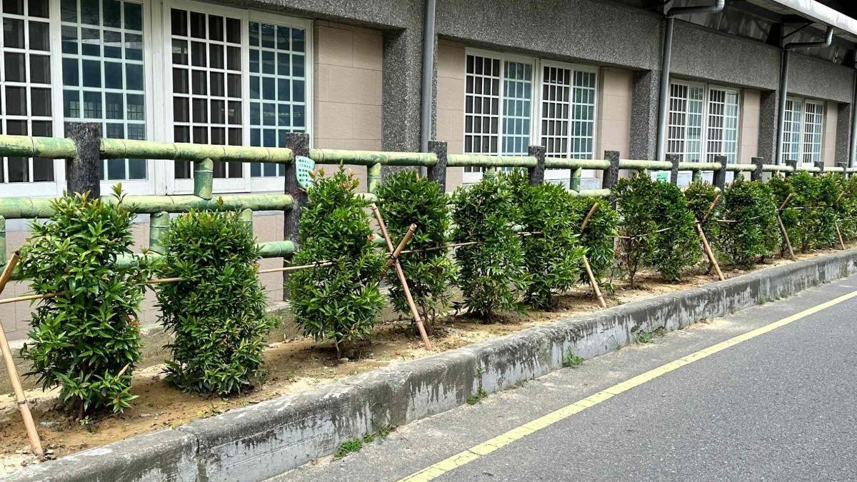 新竹市推動低碳永續家園 補助每案最高20萬元