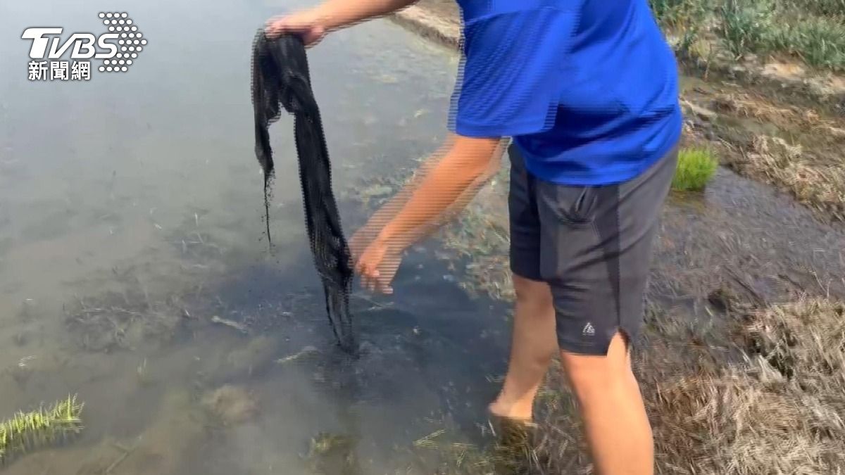 事發現場還遺留著阿嬤的袖套、罩衫及遮陽頭巾,可見當時情況相當混亂。(圖/TVBS)