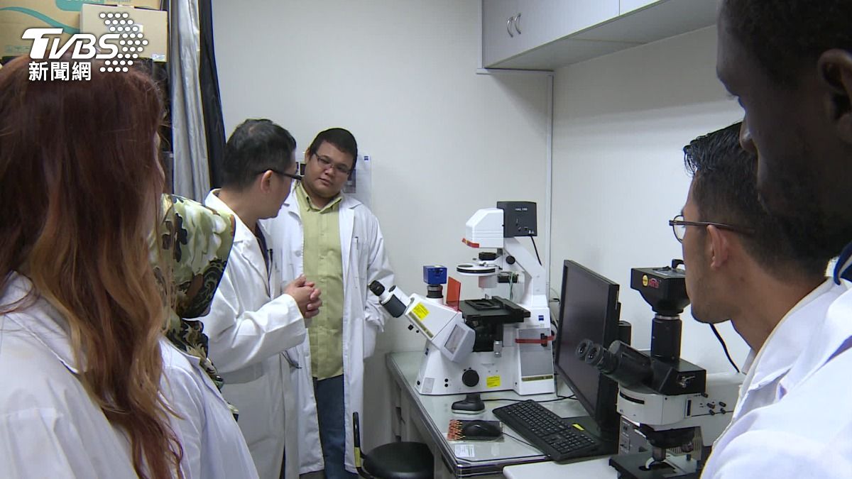 在專業發表壓力中,理工和社科領域狀況又有所分別。社科領域多半是單打獨鬥,理工領域則是團隊作戰,也更重視論文數量。(圖/TVBS)