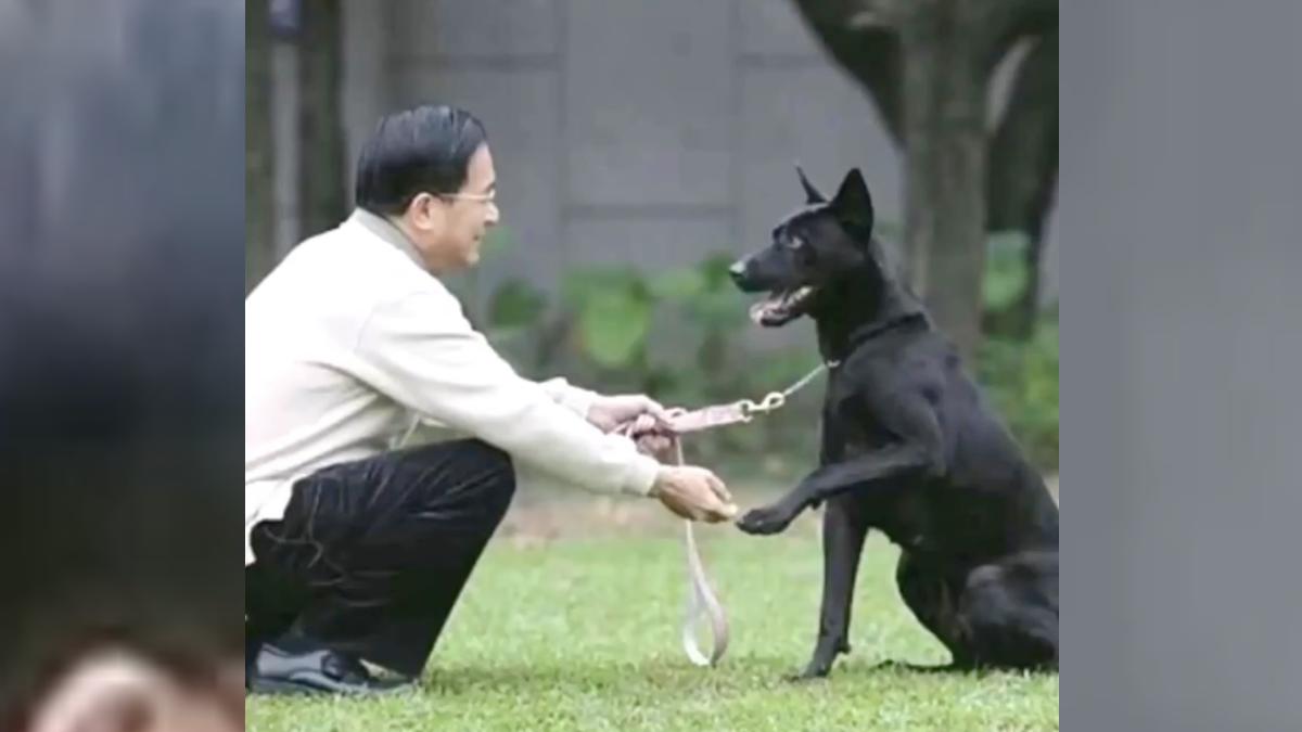 陳水扁帳號中的「勇哥」是過去總統官邸飼養的一隻黑色台灣土狗。(圖/翻攝自陳水扁Threads)