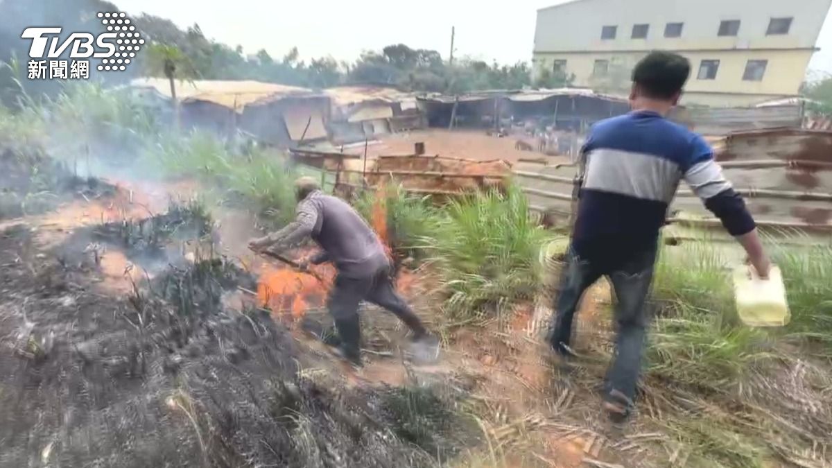 公墓雜草火警不斷，農民忙著自己打火防止火勢燒進農舍（ＴＶＢＳ／圖）