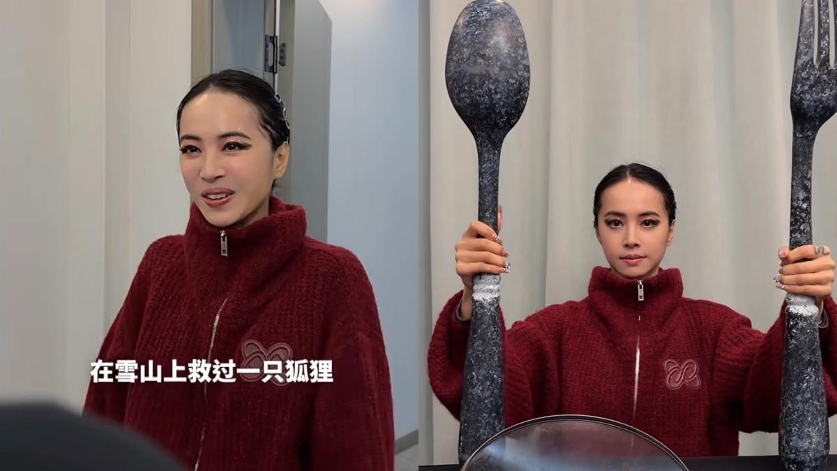你是否在雪山救過一隻狐狸？蔡依林跟風「雪山救狐狸」迷因超爆笑
